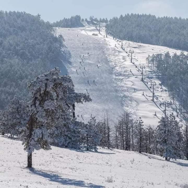 Tri Bora Divcigora Διαμέρισμα